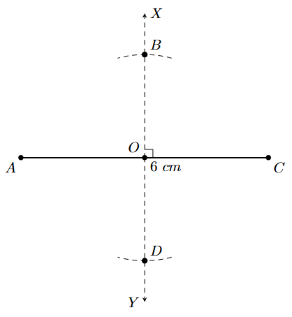 Mark points B and D on XY from O